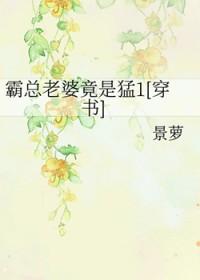 霸总的妻女