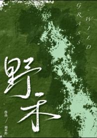 伪兄妹片段