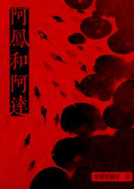 阿凤11