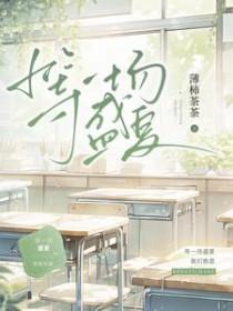一场盛夏歌曲
