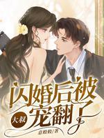 闪婚大叔有点猛免费阅读