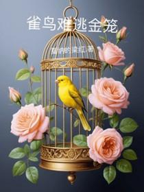 雀鸟难逃金笼讲的什么