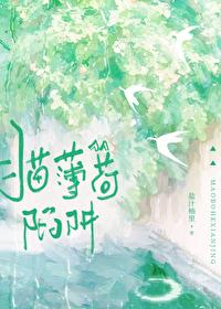 猫薄荷陷阱免费阅读笔趣阁