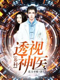 乡村透视神医全本