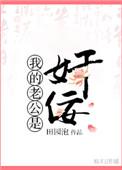 我的老公是奸佞全文阅读