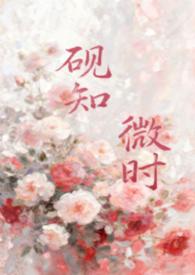 砚舟什么意思