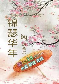 锦瑟华年txt