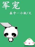 军宠系列排行榜