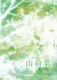 山荷叶是什么样子的