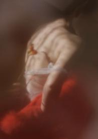狐狸的作品集