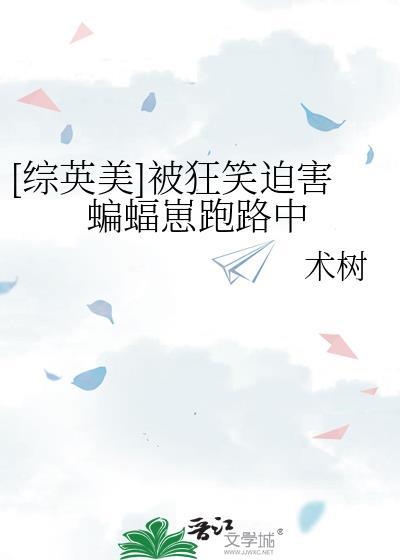 综英美dc狂笑之蝠