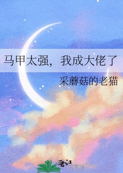 马甲太佬太a了