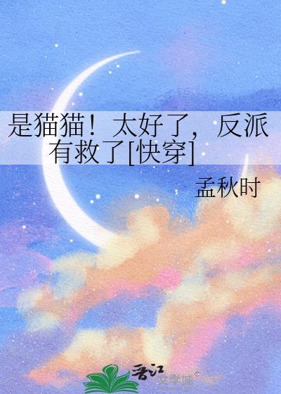 是猫猫