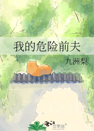 我的危险夫人在线阅读