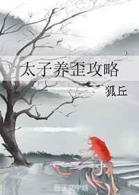 太子养歪攻略TXT