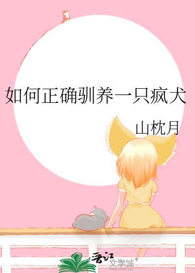 驯服疯狗的十二种方法黑皮犬