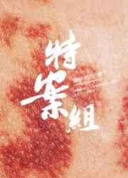 特殊案件调查组f