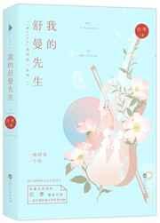 舒曼的简介