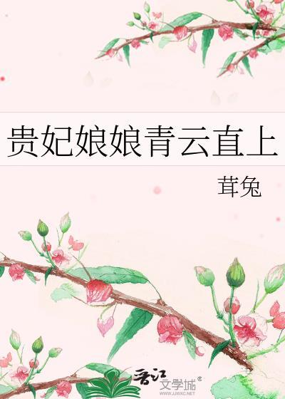 贵妃娘娘的意思