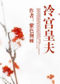 冷宫皇夫by