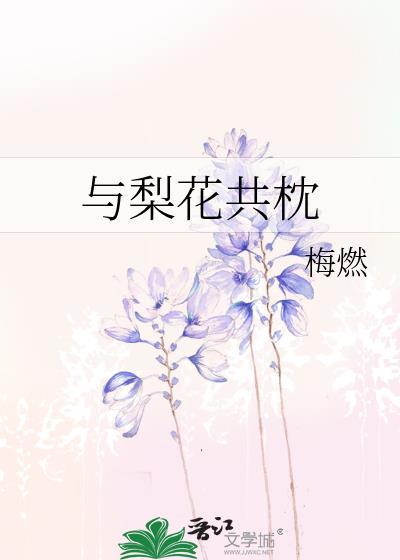 与梨花共枕作者梅燃