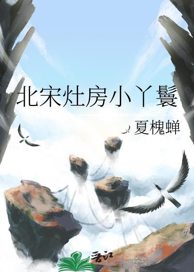北宋灶房小丫鬟是谁
