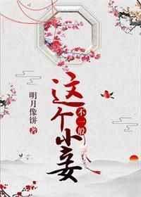 这个小妾不一般书评