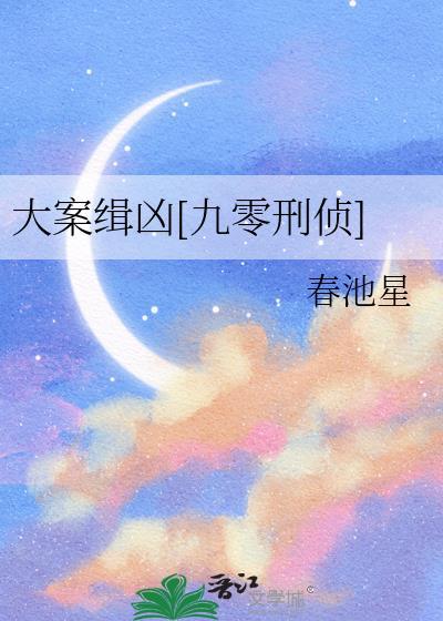 大案侦破纪实电视剧