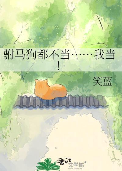驸马不当官