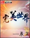 完美世界大长老